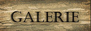 Galerie